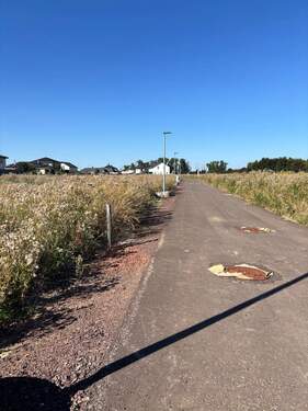 tempImage6iRfXH.jpg - 