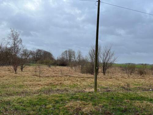 IMG_6616.jpeg - Grundstück zum Kaufen in Gribow