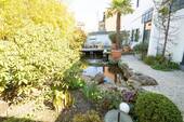 Garten/Teich - 