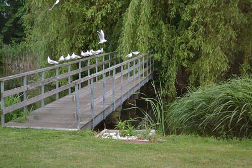 Brücke über den See - 7 Zimmer Mehrfamilienhaus, Wohnhaus in Haundorf