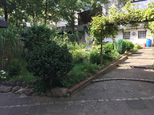 Garten - Hinterhof - 