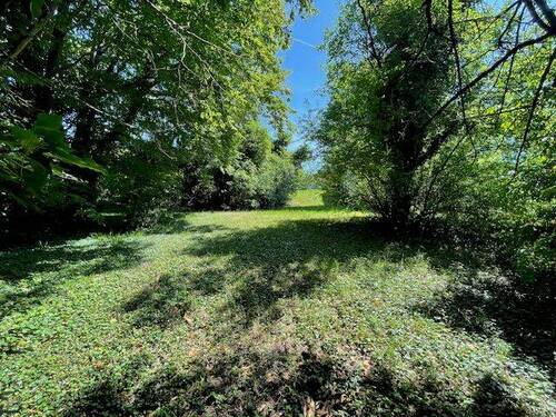 Blick von Grundstücksrückseite aus - 