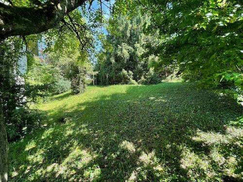 seitlicher Blick auf Grundstück - 