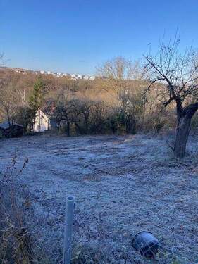 IMG_7791.jpg - Grundstück in Gerbrunn