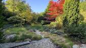 Garten mit Teich - 