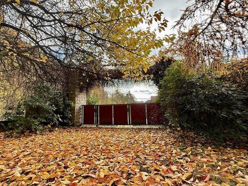 Außenansicht Eingansbereich 3 Einfahrt - Halle in Bad Lauterberg im Harz zum Kaufen