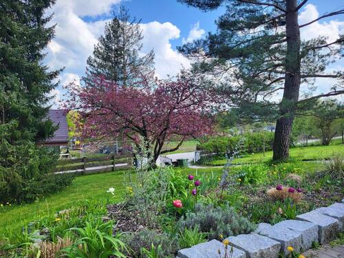 Der Garten im Sommer - 