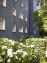 Blumenbeet - 