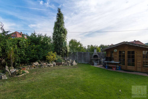 Blick in den Garten - 