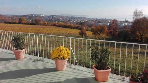 Blick von der Terrasse - 