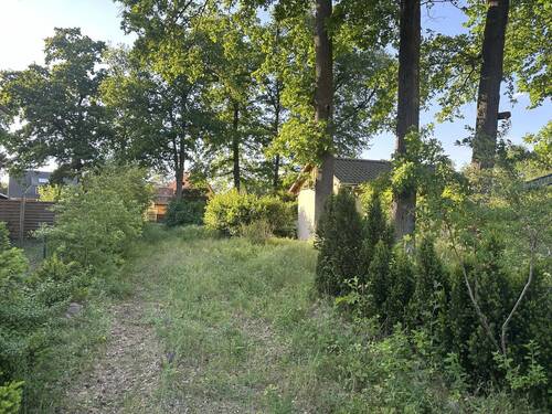 Bild 4 - Einfamilienhaus in Falkensee zum Kaufen