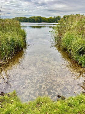 Badestelle Zeesener See - Königs Wusterhausen - Hanglage nah am Zeesener See