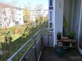 CIMG1605.1 - 