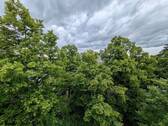 Ausblick vom Balkon - 