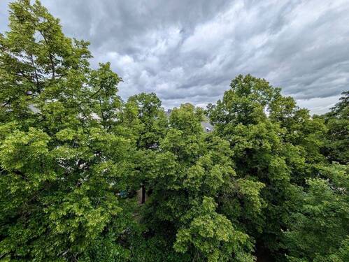 Ausblick vom Balkon - 