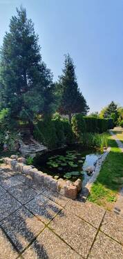 27 Teich.jpg - 