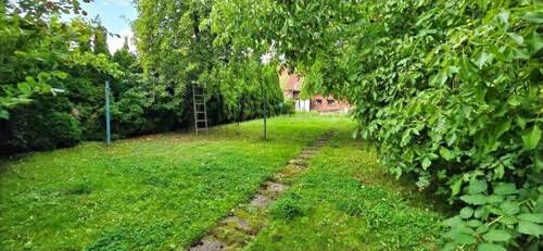Garten Bild 2 - 