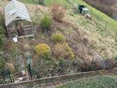 IMG_7855.jpeg - 