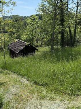 IMG 1346 - Grundstück zum Kaufen in Berglen