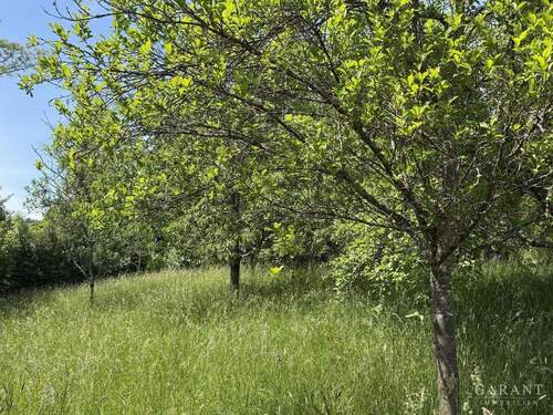 IMG 1348 - Grundstück in Berglen