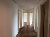 IMG_7923.JPEG - 