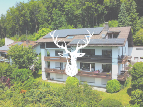 Titelbild - Schönes 5-Familienhaus mit top Entwicklungspotential in bester Lage von Waldshut mit Rheinblick zu verkaufen