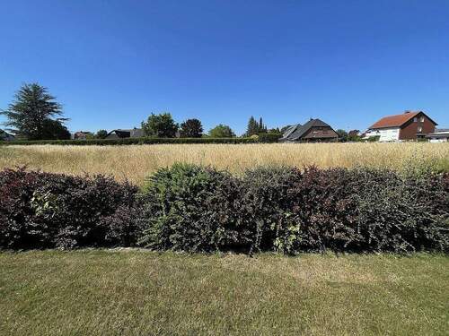 Aussicht vom Hauseingang - 