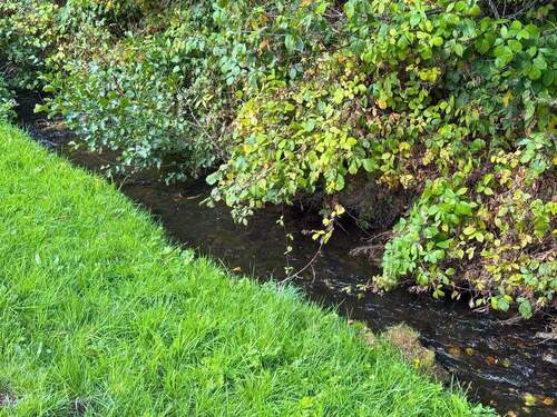 IMG_0049.JPG - Doppelhaushälfte mit 120,00 m&sup2; in Helsa zum Kaufen