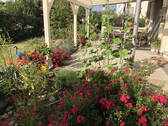 Terrasse - 