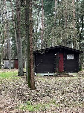 IMG_9212 - Grundstück in Tostedt