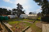 Garten - 