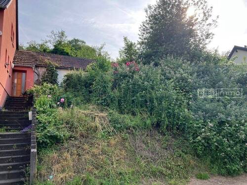 07 Bild - Grundstück zum Kaufen in Trier