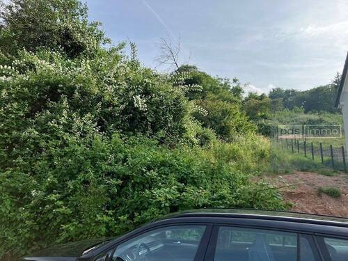 08 Bild - Grundstück in Trier