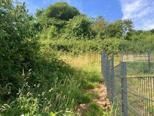 12 Bild - Grundstück in Trier zum Kaufen