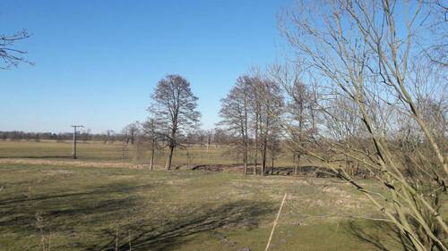 20180319_152116_resized.jpg - Grundstück in Fehrbellin zum Kaufen