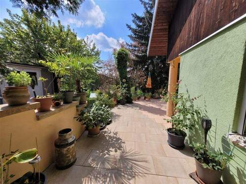 IMG-20250502-WA0009 - 