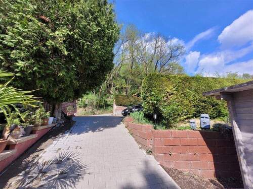 IMG-20250502-WA0013 - 