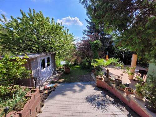 IMG-20250502-WA0014 - 