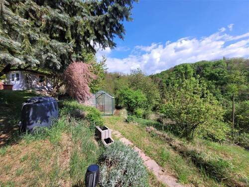 IMG-20250502-WA0016 - 