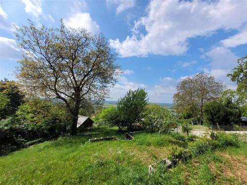 IMG-20250502-WA0018 - 