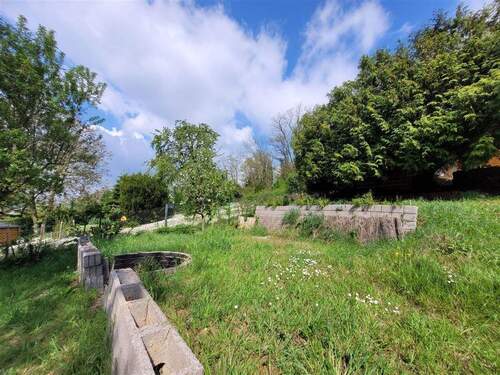 IMG-20250502-WA0019 - 