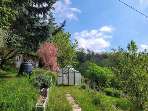 IMG-20250502-WA0021 - 