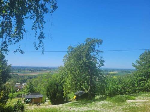 IMG-20250502-WA0025 - 