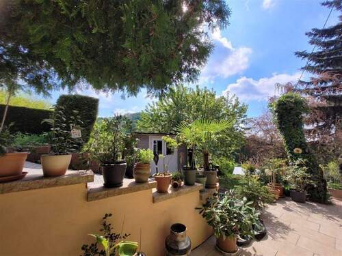 IMG-20250502-WA0010 - 