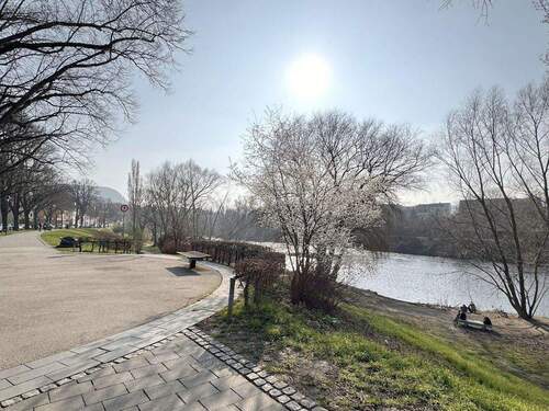 Saale-Ufer - 