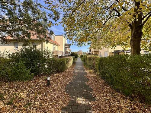 Impression vom Grundstück - 