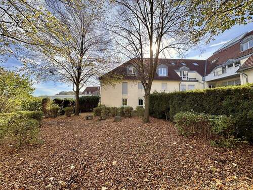 Die Rückseite präsentiert sich grün. - 