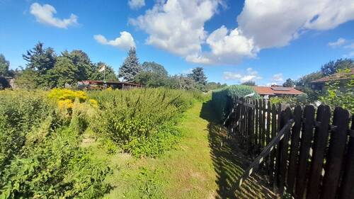 20250822_102926_resized.jpg - 