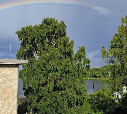 Blick von der Terrasse - 