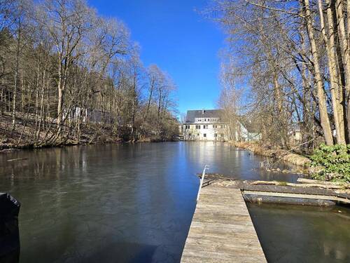 Teich - 